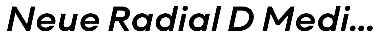 Neue Radial D Medium Italic